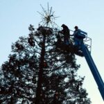 Image for display with article titled Photo: Holidays are in the air in Gilroy