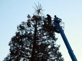 st mary's parish holiday tree downtown gilroy