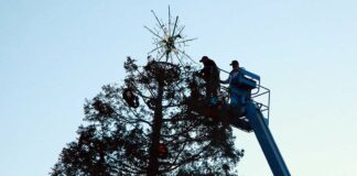 st mary's parish holiday tree downtown gilroy