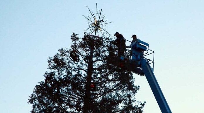 st mary's parish holiday tree downtown gilroy