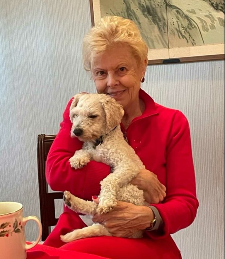 County has ‘urgent need’ for fostering, adopting dogs