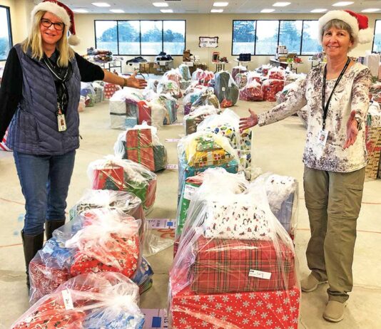 community solutions Jackie Starkovich Linda Bjarke adopt a family