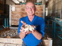 Garlic titan Don Christopher dies don christopher