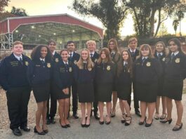 gilroy ffa