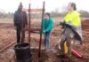 christmas hill park tree planting our city forest