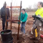 Image for display with article titled Volunteers plant trees in Christmas Hill Park