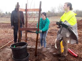 christmas hill park tree planting our city forest