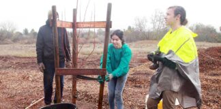 christmas hill park tree planting our city forest