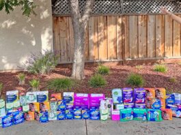 sophia manzur that's on period project