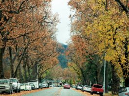 A look back at some of the major Gilroy stories of 2022 sixth street leaves