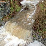 Image for display with article titled Local Scene: Uvas Creek cleanup; ‘Eterne’ photography exhibit