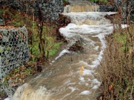 uvas creek christmas hill park weather