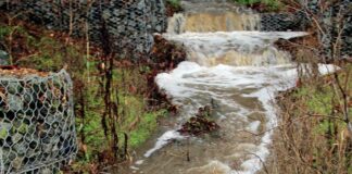 uvas creek christmas hill park weather