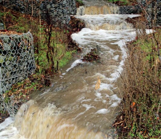 uvas creek christmas hill park weather