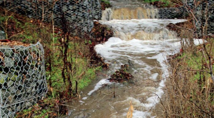 uvas creek christmas hill park weather