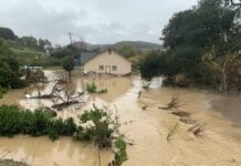 aromas home flood