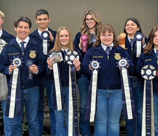 Gilroy FFA shines in fall competition gilroy ffa