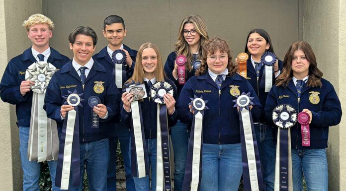 gilroy ffa