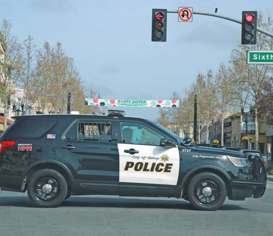 gilroy police downtown patrol