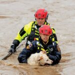 Image for display with article titled Gilroy escapes latest storm with widespread flooding