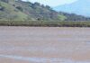 uvas reservoir
