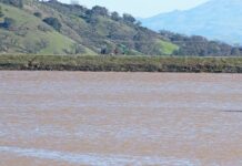 uvas reservoir