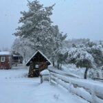 Image for display with article titled Photos: Winter Persists in Gilroy