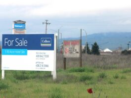 camino arroyo hotel project