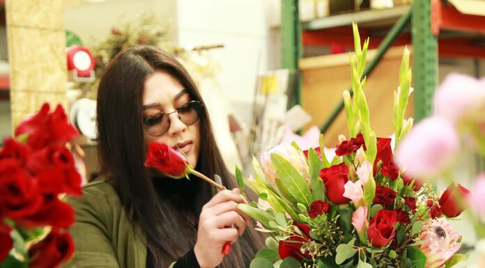 expressions floral