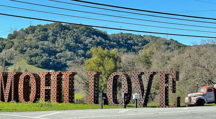 mohi love metal sign winery sycamore creek vineyards watsonville uvas road