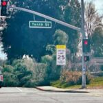 Image for display with article titled PHOTO: Original Gilroy High tree collapses