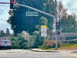PHOTO: Original Gilroy High tree collapses gilroy high school fallen tree princevalle street