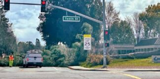 gilroy high school fallen tree princevalle street