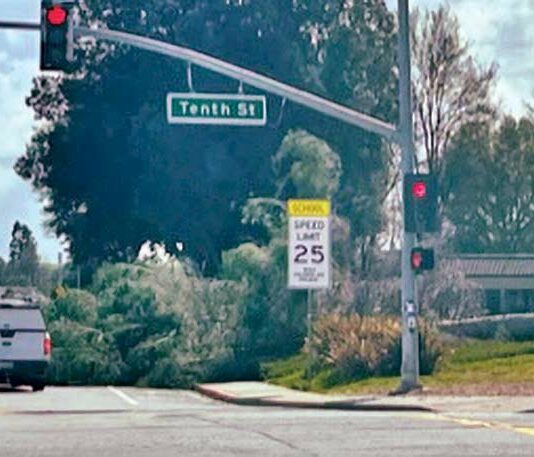 gilroy high school fallen tree princevalle street