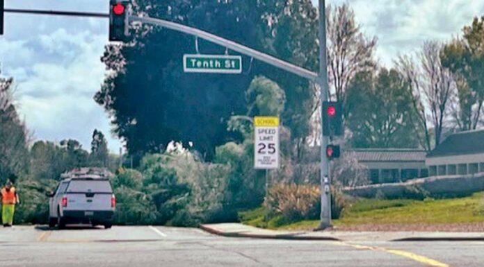 gilroy high school fallen tree princevalle street