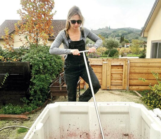 Kim Englehardt lion ranch wineries of santa clara valley