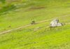 calero county park bicyclist