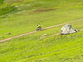 Spoking My Mind: Grateful for the gorgeous green calero county park bicyclist