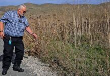 Moe Kumre weed abatement program santa clara county