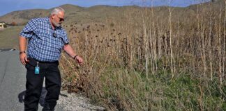 Moe Kumre weed abatement program santa clara county