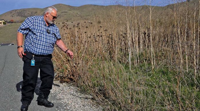 Moe Kumre weed abatement program santa clara county