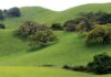 gilroy green hills highway 101
