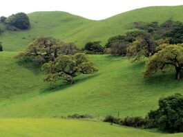 gilroy green hills highway 101