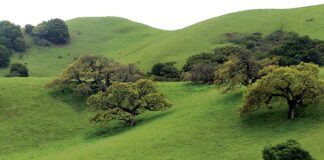 gilroy green hills highway 101