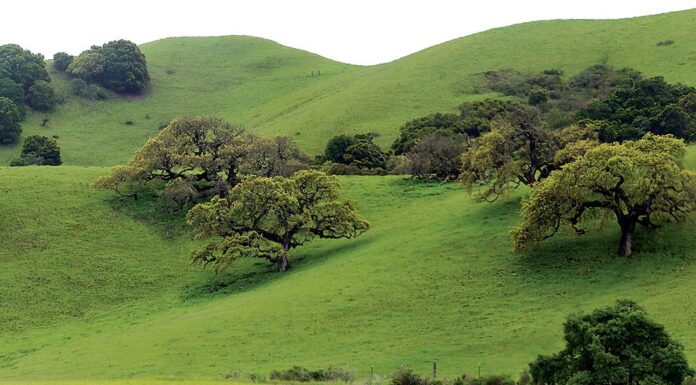 gilroy green hills highway 101