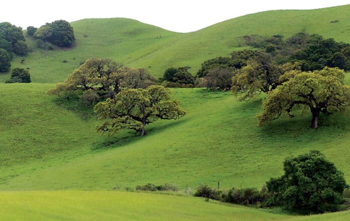 gilroy green hills highway 101