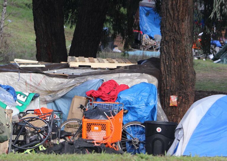 County secures hefty grant to address local homelessness
