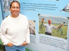 jaclyn muro gilroy foundation