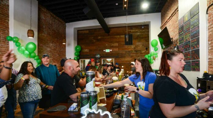 Settle Down Brewery & Taproom