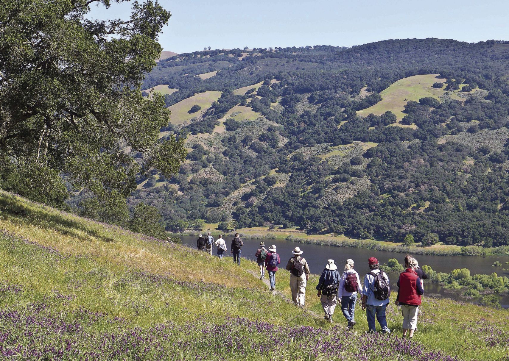 Santa Clara County Parks open for free on July 29 Gilroy Dispatch